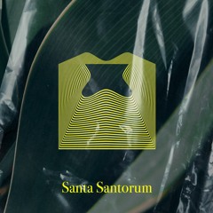 DJ Arzur Miller - Santa Santorum | 96bpm