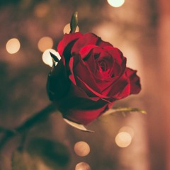 VALENTINE GIFT FOR YOU | VIETMIX,DEEP,LAK - HOANGKIM