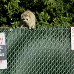 lost and found (prod. kontrabandz)