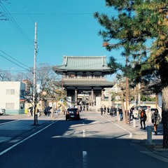 夢先案内人 （山口百恵カバー）