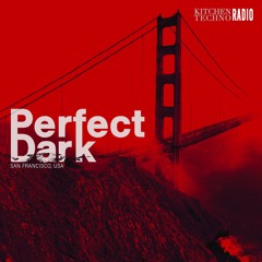 Perfect Dark | KITCHEN TECHNO RADIO #08 | Provider