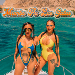 Mambo Pa Las Gatas (Out Now)