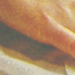 PREMIERE: Aleksandir - Prado [Omena Records]