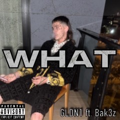WHAT Ft Bak3z