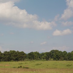 Two Weeks of Lovemaking