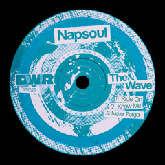 PREMIERE: Napsoul - Know Me [DWR029]