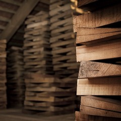 Vom Tonholz für den Geigenbau