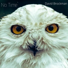 david brockman - No Time - 12 The Power and Glory.mp3