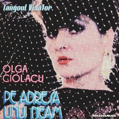 Olga Ciolacu - Tangoul Visător
