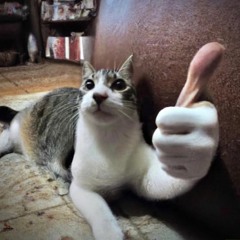 jaydes-convenience USER JUNGLE MIX WAHOOO!