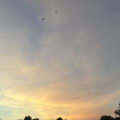 July 17th 2024 12:05am