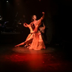 Out in the Bushlands