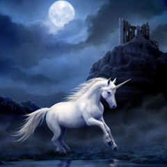 The Way of the Unicorn *