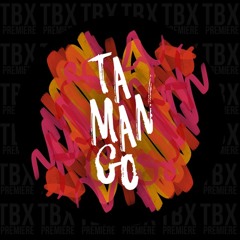 Premiere: Yaya - The Bridge [Tamango Records]