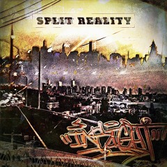 SPLIT REALITY