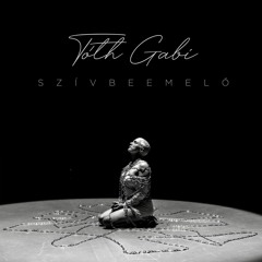 Toth Gabi vs Kutlo & Notequal - SzivbeEmelo (Humi's Edgerunner Edit)