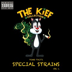 YUNG TACT's SPECIAL STRAINS