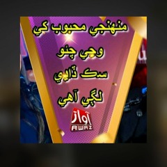 Muhinje Mehboob Khe Wanji Chao | Singer Shehla Gul | Tufail Khan Sanjrani  | New Song | By Awaz Tv