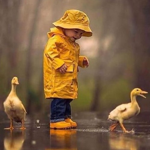 Rain Dance - Stephan Lipinski / Jamie Rhind