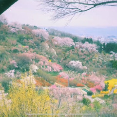 The Zodiacal Afterimages "April" (Audio Tracks) Featuring : Ibuki Takai (Vo)