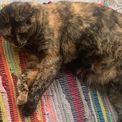 the midnight gospel (prod. maclov)