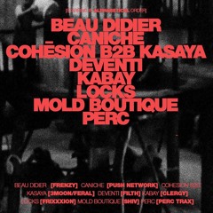 Mold Boutique // HØL @ DBA 11.01.25
