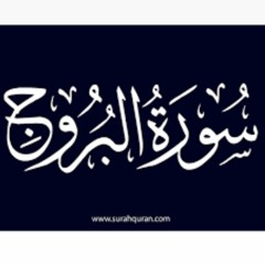 الشيخ محمد عثمان