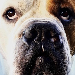 New music in the mix / Tracklist & download