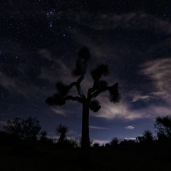 ROTUNDA Joshua Tree 8/17/25 4:00am-5:00am