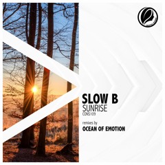 Sunrise (Ocean of Emotion Remix) [Consapevole Recordings]