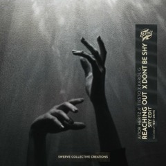 Tiesto & Karol G X Aitor Hertz - Don't Be Shy (SRY 'Reaching Out' Edit)