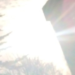 shauna Mc Ardle Music~ lights