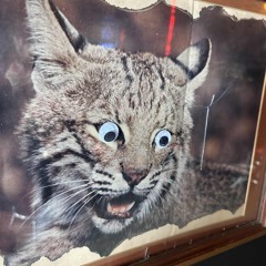 Summer Lake Afro House Mix