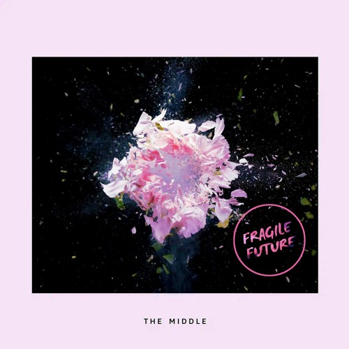 ℤ𝕖𝕕𝕕 - The Middle (Fragile Future vs Moto Blanco Mashup)
