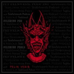 TEUFELSWERK PODCAST 034: PELIN VEDIS