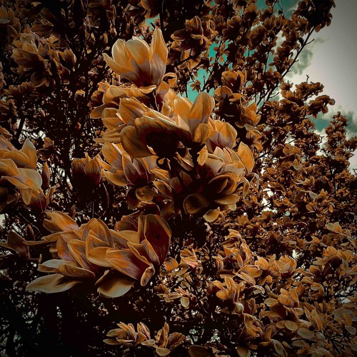 The Sienna EP