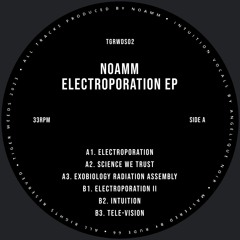 Noamm - Electroporation EP (TGRWDS02) Snippets