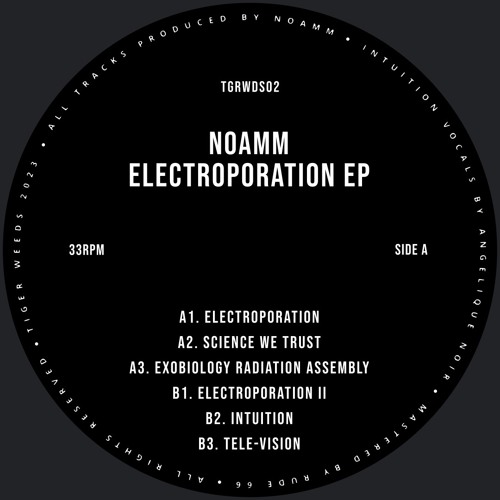 Noamm - Electroporation EP (TGRWDS02) Snippets