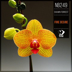 Shawn Forrest - Piece of Love (Original Mix)