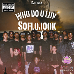 DJ Tigga - who do u luv .. (soFlojook) .mp3