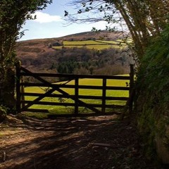 Wychcrest - Find Me By The Fields