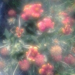 그댄 꿈에 왜 찾아와요?