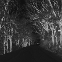 ...broken shards of the cathedral