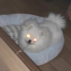 [JELLYBIRD Cover] JUSTHIS - Fax (Prod. GroovyRoom)