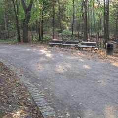Ascension, pèlerinage sonore sur le mont Royal