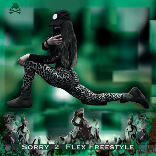 Sorry 2 Flex Freestyle (Radio Edit)