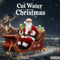 DJ VIC PRESENTS: CUTWATER CHRISTMAS (Just The mixes) (EXPLICIT)