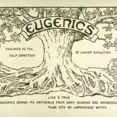 The Eugenics Administration