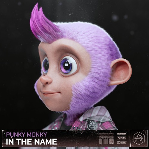 Punky Monky - In The Name
