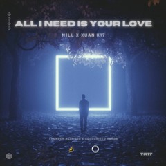 N1LL & Xuan K17 - All I Need Is Your Love